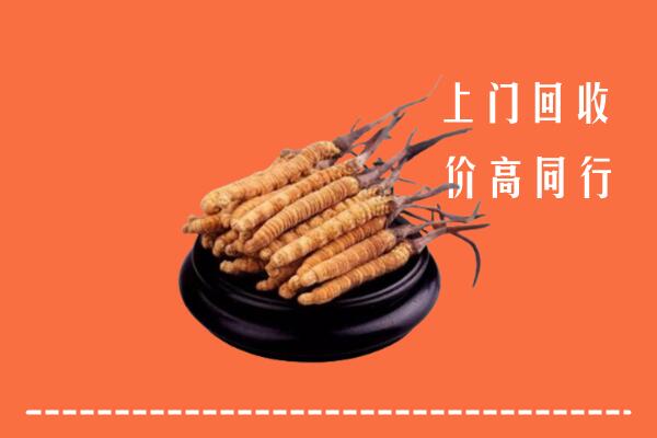 上海普陀区回收冬虫夏草